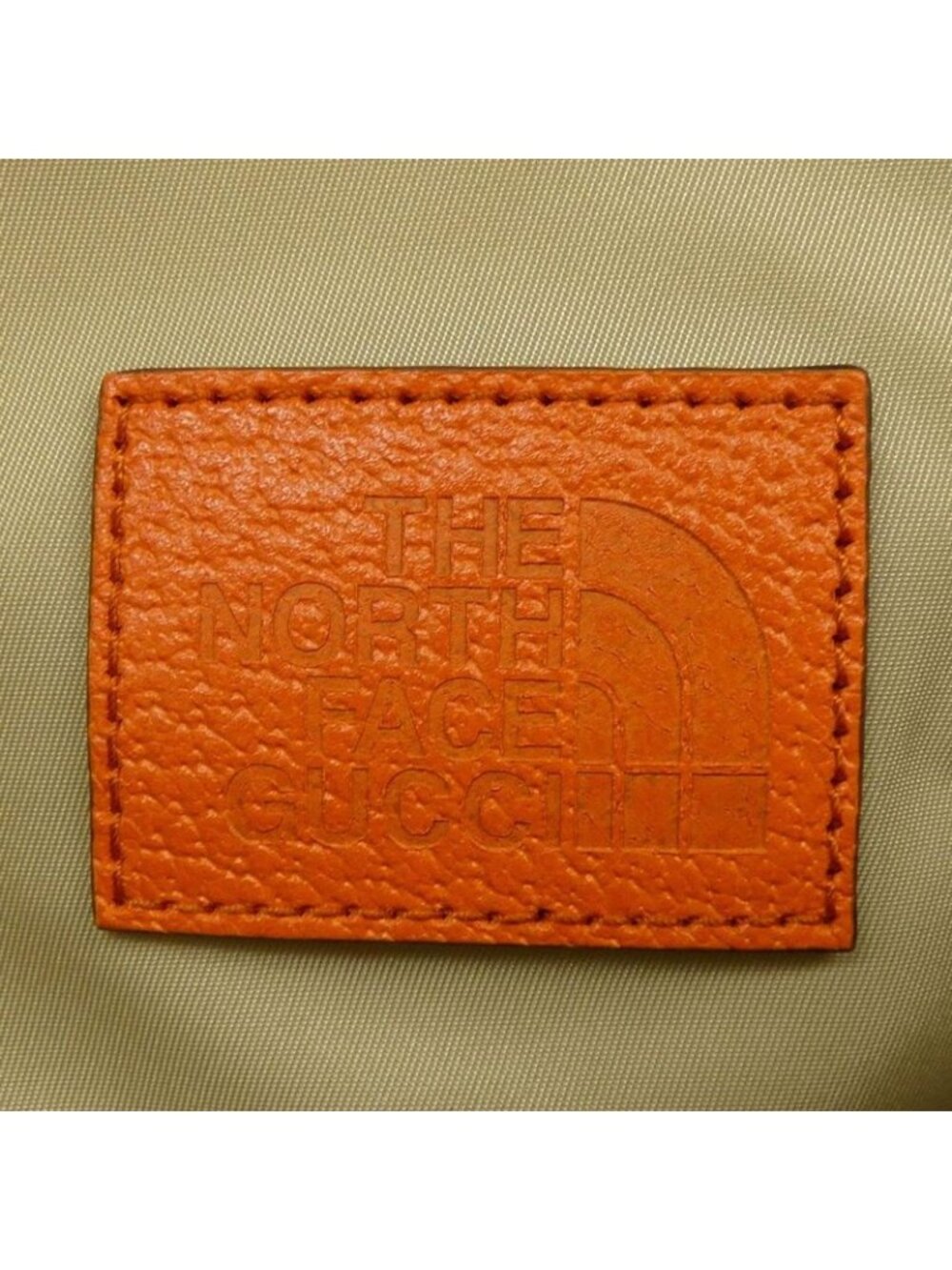 Gucci the North Face Backpack - Picture 5 of 6